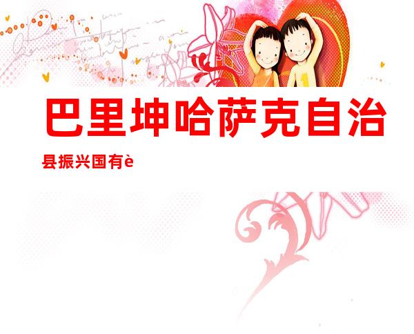 巴里坤哈萨克自治县振兴国有资产投资经营有限责任公司
